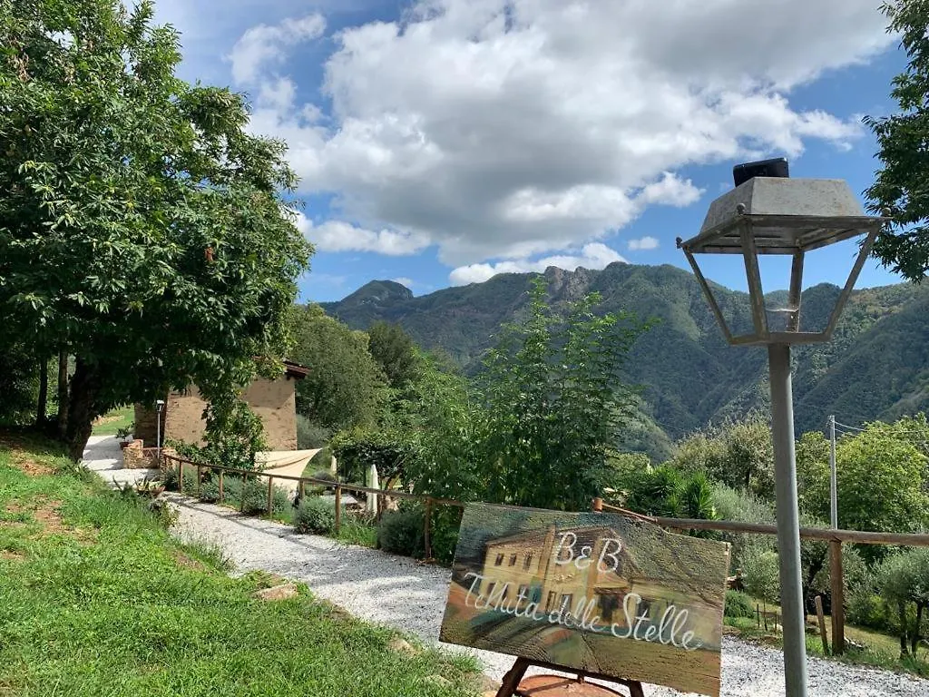 Bed And Breakfast Tenuta Delle Stelle Seravezza Italien